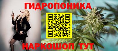амф Обнинск