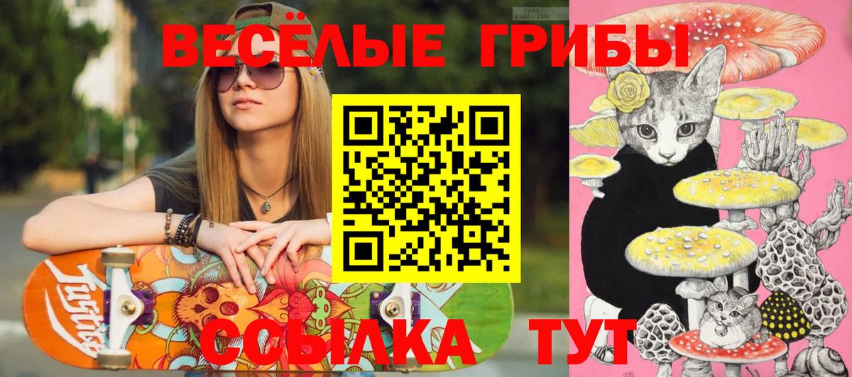 Галлюциногенные грибы Psilocybine cubensis Семилуки